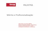 PALESTRA Mérito e Profissionalização (1).pdf · e da profissionalização não representar apenas a adoção de uma nova técnica de gestão pública ou de gestão de pessoas no