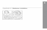 Capítulo 6 Sistema Linfático - Amazon Web Services · Sistema Linfático 6 Prancha 6-1 Consulte Netter Anatomia Clínica, 4a edição, Figura 1.16. Organização Geral do Sistema