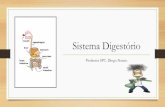 Sistema Digestório - colegiosantarosa-pa.com.br€¦ · Visão geral do sistema digestório •Ingestão: nesta etapa os alimentos sólidos são triturados pelos dentes e misturados