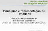Princípios e representação de imagensdcm.ffclrp.usp.br/~murta/PIM/PIM_1_Represent.pdfProcessamento de Imagens Médicas 1 Processamento de Imagens Médicas Princípios e representação