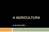 Recursos de apoio ao ensino da Geografia - A Agricultura€¦ · Tipos de Agricultura Versus. Agricultura Tradicional. Características da agricultura Tradicional. Técnicasutilizadas