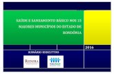 SAÚDE E SANEAMENTO BÁSICO NOS 15 MAIORES MUNICÍPIOS DO ... · 5 Segundo o Portal ODM -Acompanhamento Brasileiro dos Objetivos de Desenvolvimento do Milênio foram estabelecidas