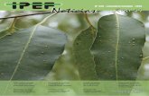 Nº 235 - setembro/outubro - 2015 - IPEF Na foto, percevejo-bronzeado em folhas de eucalipto 4 Formação de pomares do Programa de Melhoramento Florestal 8 PROMAB participa de reunião