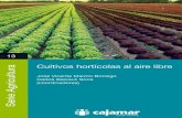 Cultivos hortícolas al aire libre · Cultivos hortícolas al aire libre José Vicente Maroto Borrego Carlos Baixauli Soria (coordinadores)