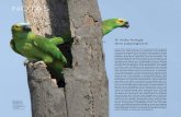 A vida longa dos papagaios - Revista Pesquisa Fapesp · CASE lli, E. ET AL. PL S o NE. 2018 5 NASA / DOE / T E l ESC ópi O F i. 14 | janeiro De 2019 2 O navio norte-americano Franklin