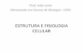 Prof. João Leite Mestrando em Ensino de Biologia - UFRJ · Citoplasma •Espaço entre a membrana plasmática e a carioteca nos eucariotos •Preenchido por uma substancia gelatinosa