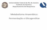 Metabolismo+Anaeróbico: Fermentaçãoe+ Glicogenólise+bioinfo.iq.ufrj.br/graduacao/EF/slides/aula 7 BqEF.pdf · Universidade*Federal*do*Rio*de*Janeiro* Ins1tuto*de*Química* DepartamentodeBioquímica*