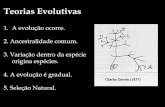 Teorias Evolutivas - irp-cdn.multiscreensite.com · Teorias Evolutivas 1. A evolução ocorre. 2. Ancestralidade comum. 3. Variação dentro da espécie origina espécies. 4. A evolução