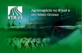 Agronegócio no Brasil e em Mato Grosso - IMEA - Instituto Mato-grossense de … › imea-site › view › uploads › relatorios... · 2019-08-27 · Mato Grosso Santa Catarina