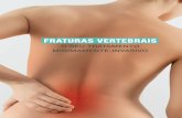 FRATURAS VERTEBRAISspine.pt/documentos/files/Patient_Brochure_PT_PATBROPTV1_042015.pdfde 1.4 milhões de fraturas vertebrais osteoporóticas3. A fratura vertebral é a fratura osteoporótica