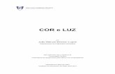 COR e LUZ - ULisboadisciplinas.ist.utl.pt/~leic-cg.daemon/textos/livro/Cor.pdf · comparadas, da cor da luz circundante, da iluminação geral do ambiente em que a medida é realizada
