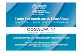 COSALFA 44 › cosalfa44 › dmdocuments › Apresentacao2... · 2017-04-06 · Centro Pan-Americano de Febre Aftosa PANAFTOSA - SAÚDE PÚBLICA VETERINÁRIA COSALFA 44 Pirenópolis,