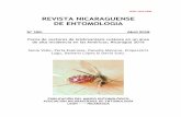 REVISTA NICARAGUENSE DE ENTOMOLOGIAbio-nica.info/RevNicaEntomo/150-Valle-Leishmaniasis.pdf · 2020-02-17 · Revista Nicaragüense de Entomología. Número 150. 2018. Página 3 Focos