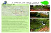 ruta Devesa de Rogueira - Adela Leiro Devesa de Rogueira.pdf · pintafontes), réptiles (lagartixa da serra) e gran cantidade de invertebrados. A ruta ofrece tamén interese etnográfico: