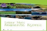 Saber Mais Ambiente Açoresservicos-sraa.azores.gov.pt/grastore/educar/CadernoSaber...Cada uma das ilhas do arquipélago dos Açores dispõe de um parque natural de ilha, que gere