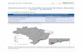 Monitoramento do Período Sazonal da Febre Amarela Brasil ...informe nº 04 | 2018/2019 FIGURA 1 • Distribuição dos casos humanos e epizootias em PNH confirmados para FA, por município