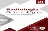 Radiologia Odontológica · Radiologia ODONTOLÓGICA / Unidade 1 6 1 CONCEITOS INICIAIS Iniciamos com uma importante discussão sobre alguns conceitos que frequentemente são confundidos: