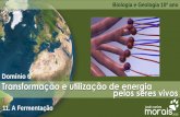Domínio 6 Transformação e utilização de energia pelos ... · Transformação e utilização de energia Domínio 6 Biologia e Geologia 10º ano 11. A Fermentação 2019 pelos