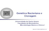 Genética Bacteriana e Clonagem - WordPress.com · Genética Bacteriana e Clonagem Universidade de Santo Amaro Faculdade de Biomedicina Microbiologia Básica e Clínica I. É responsável
