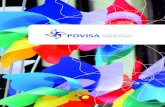 PDVISA miolo FINAL · Essa é a proposta do PDVISA, um plano estratégico - construído por um grupo multidisciplinar, representando a pluralidade da saúde e da sociedade brasileira