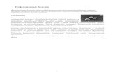 Инфекционные болезни - Fedoseevfedoseev.net/rpg/hope/deseases.pdf · 2010-02-03 · pneumoniae (микоплазменная пневмония), Legionella pneumophila
