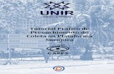 Tutorial Prático de Preenchimento do Coleta na Plataforma ... · Tutorial Prático de Preenchimento do Coleta na Plataforma Sucupira 2019 Universidade Federal de Rondônia – UNIR