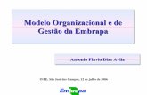 Modelo Organizacional e de Gestão da Embrapa - INPE · 2019-07-05 · Gestão da Transferência de Tecnologia: Estrutura Organizacional Serviço de Negócios para Transferência