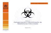 CURSO PARA REMETENTES 2011 - WHO · CURSO PARA REMETENTES 2011. Categorias de substâncias (divisão 6.2) Categoria A (substâncias infecciosas) Vírus Ebola . Bacillus anthracis