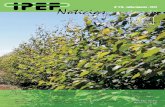 Nº 216 - Julho/Agosto - 2012 - IPEF · 7 IPEF e FPC disponibilizam o sistema Geodatabase 5 IPEF distribui sementes importadas da Austrália ... CEP 13400-970 Piracicaba, SP, Brasil
