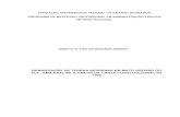 FUNDAÇÃO UNIVERSIDADE FEDERAL DA GRANDE DOURADOS …€¦ · Demarcação de terras indígenas em Mato Grosso do Sul : uma análise a partir da carta constitucional de 1988. / Márcia