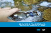 ServiçoS AmbientAiS - Terra Brasilis · Serviços ambientais: conhecer, valorizar e cuidar As questões ambientais que se colocam frente à humanidade no século XXI apontam a necessidade