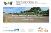 ESTUDOS DE IMPACTO AMBIENTAL E SOCIAL · Ambiental e Social - Reabilitação da Estrada Nacional N1 – São Tomé – Guadalupe – Neves (27km)” Página 1 de 304 MINISTÉRIO DAS
