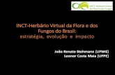 Herbário Virtual da Flora e Fungos do Brasil: contribuição ...€¦ · Usa os dados do INCT-Herbário Virtual e algoritmos para modelagem de nicho ecológico das espécies. Sistema