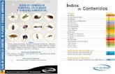 de Consultas Plagas 2019.pdf(Loxosc les laeta) La araña de rincón (Loxosceles laeta) mide aproximadamente de 1 a 3 cm . de largo (Incluyendo las patas). Es de color café parduzco