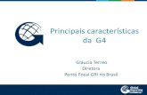 Principais características da G4sustentabilidade.cnseg.org.br/wp-content/uploads/2014/07/Apresent… · Pontos de partida do G3.1 • G3.1 o A versão mais atualizada das Diretrizes