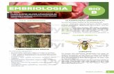 BIOLOGIA B APOSTILA 3 - 2019 - dynamicon.com.br · Diplopoda - Exemplos: piolhos-de-cobra (gongolôs ou embuás) Classe Insecta Conceito Os insetos são artrópodos, geralmente com