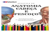 INTRODUÇÃO - Unitriunitri.edu.br/wp-content/uploads/2019/02/PDF-APOSTILA...2 INTRODUÇÃO Essa apostila de Anatomia da cabeça e pescoço foi criada com o intuito de ajudar os alunos