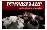 BENCHMARKING INTERNACIONAL - GitLab€¦ · benchmarking internacional estudo do complexo agroindustrial ovinocaprinocultura para o desenvolvimento das cadeias produtivas da caprinocultura