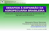 DESAFIOS À EXPANSÃO DA AGROPECUÁRIA BRASILEIRA · Resulta na criação de ... Agropecuária Comércio Construção civil Indústria automobilística Indústria eletroeletrônica