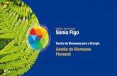 20 Março, Dia da Floresta Sónia Figo › contents › documents › centro-da-biomassa-pa… · madeira Instalações de aquecimento/ AQS Produção de energia eléctrica e térmica