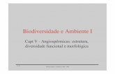 Biodiversidade e Ambiente Imaloucao/Aula 19BA.pdf · 12-05 Biodiversidade e Ambiente I 2005 - 2006 Um bom colonizador da rizosfera deve ter: • crescimento rápido • capacidade