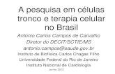 A pesquisa em células tronco e terapia celular no Brasil › comissoes › cct › ap › AP20130625... · A pesquisa em células tronco e terapia celular no Brasil . Junho 2013