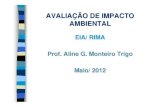 EIA/ RIMA Prof. Aline G. Monteiro Trigo Maio/ 2012€¦ · Adição de Cloro em excesso Aspecto Manutenção de jardim Copo plástico Tratamento de água Exemplo Atividade Produto