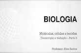 BIOLOGIA - qcon-assets-production.s3.amazonaws.com · I – A síntese de proteínas tem início antes mesmo do término da transcrição. II – A grande maioria dos genes contém