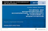 Análisis del emprendimiento: ecosistemas, orientación al ...zaguan.unizar.es/record/76917/files/TESIS-2019-030.pdf · Análisis del emprendimiento: ecosistemas, orientación al