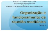 FEDERAÇÃO ESPÍRITA BRASILEIRA Mediunidade: …...prece de encerramento e avaliação da reunião). fixação do dia, horário e local de funcionamento do grupo mediúnico periodicidade