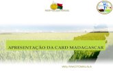 APRESENTAÇÃO DA CARD MADAGASCAR - Rice for Africa · 2020-03-24 · Produção, consumo e auto-suficiéncia de arroz em Madagascar (1000 TM) 2008 2009 2010 2011 2012 2013 2014 2015