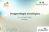 Dr. Luis Pallero Collao Radiólogorlillo.educsalud.cl/Diplomado ONCOLOGIA GENERAL 2019/Asig... · 2019-08-22 · .Principal test para distinguir lesiones benignas de malignas..Permite