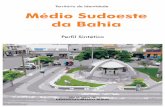 Perfil Médio Sudoeste da Bahia · O Médio Sudoeste faz divisa com o estado de Minas Gerais, mas não é cortado por nenhuma rodovia federal, embora se situe próximo à BR 101.