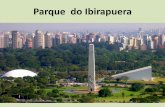 Parque do Ibirapuera - WordPress.com...2019/06/08  · O que levar: • Ir com roupas leves, apropriadas para caminhada, tênis. • Capa de chuva • Boné, chapéu, etc. • óculos